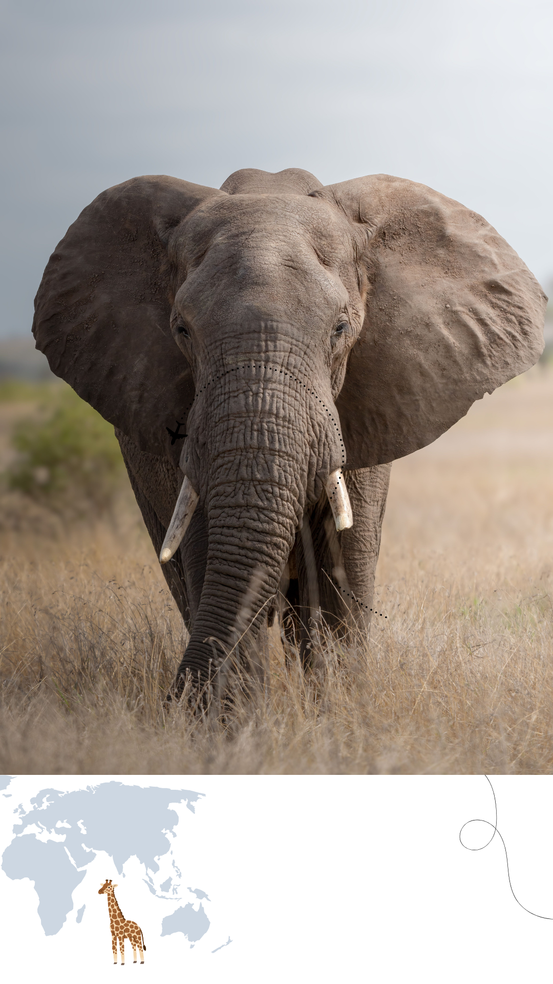 AFRIQUE