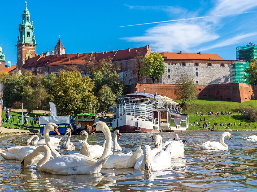 shutterstock_330856049 WEB